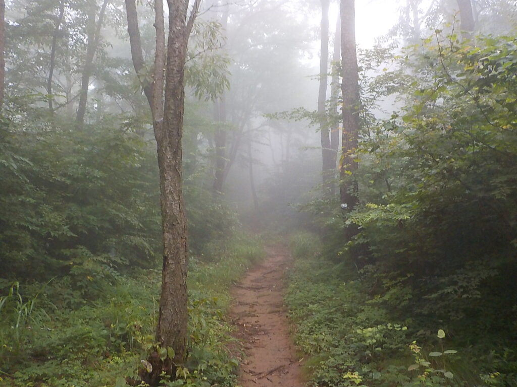 고성 연화산 등산코스 최단코스6