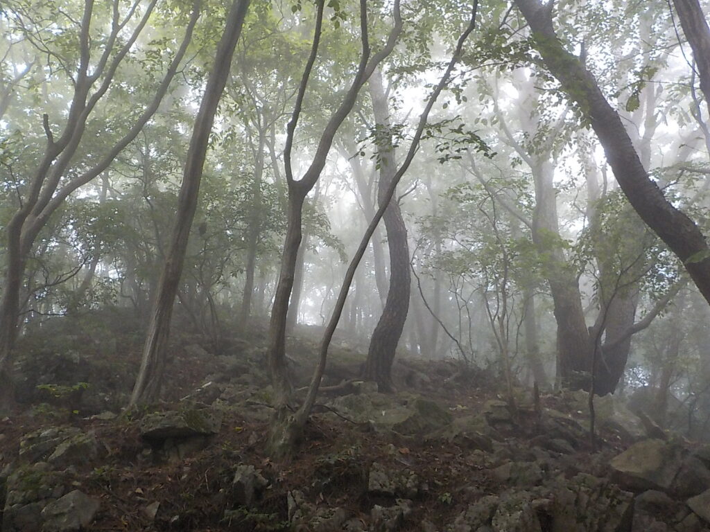 고성 연화산 등산코스 최단코스8