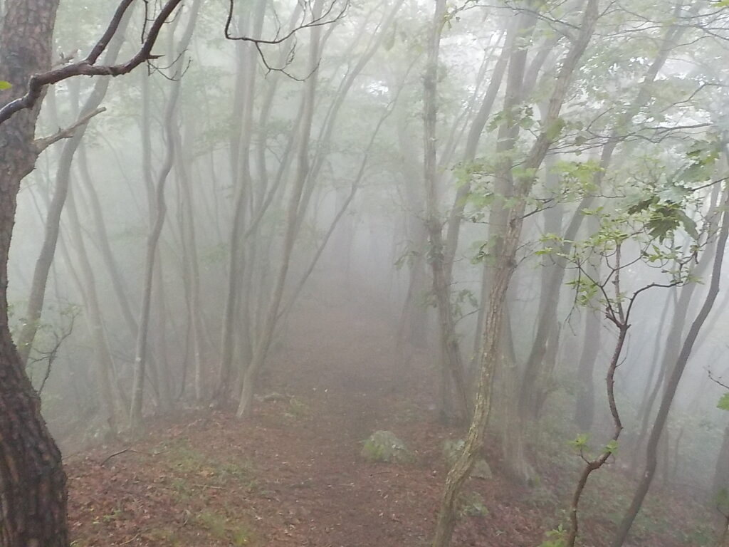 고성 연화산 등산코스 최단코스9