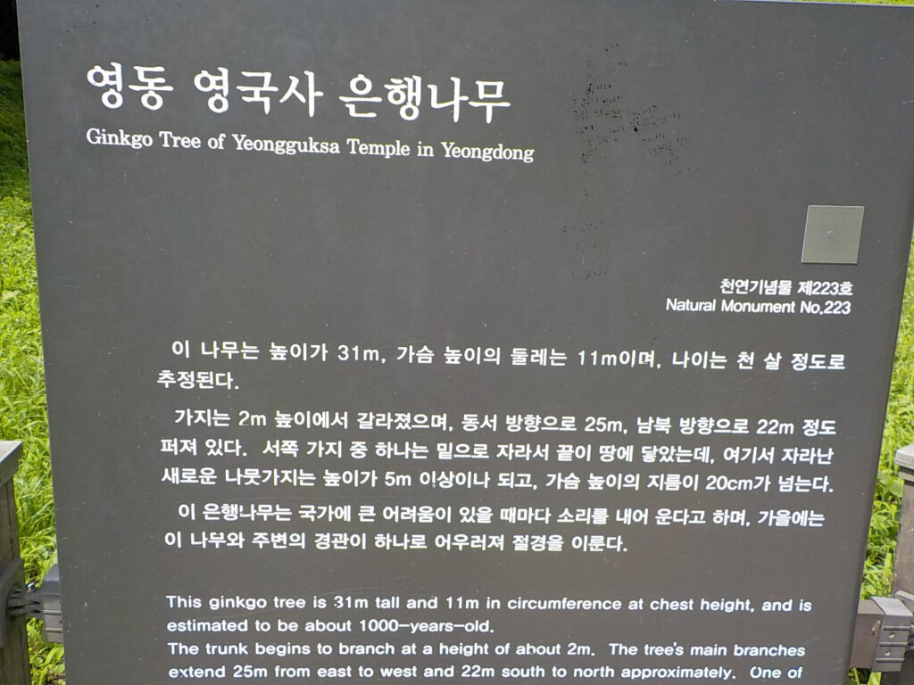 충북 영동 천태산 등산코스