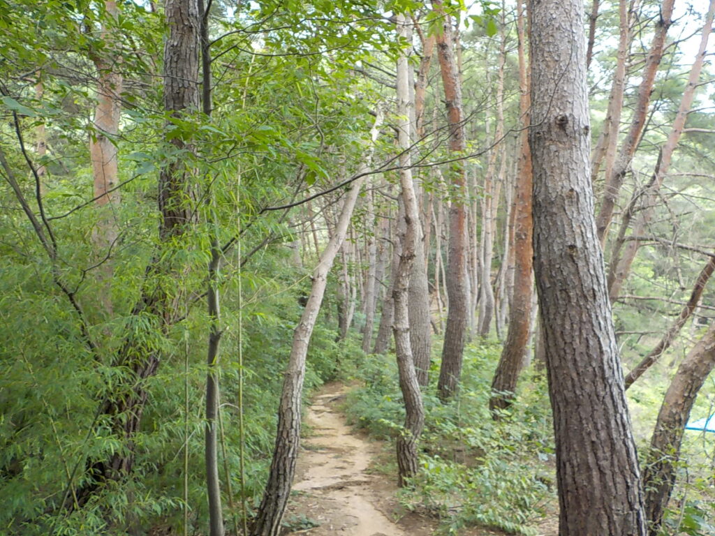 충북 영동 천태산 등산코스