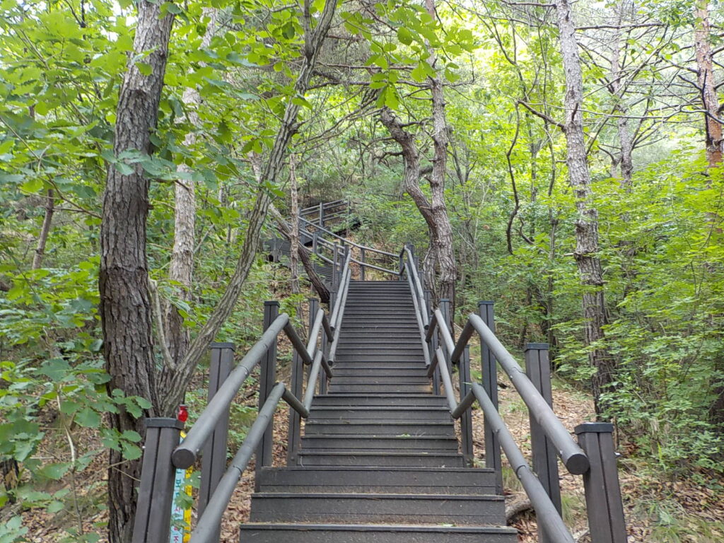 충북 영동 천태산 등산코스