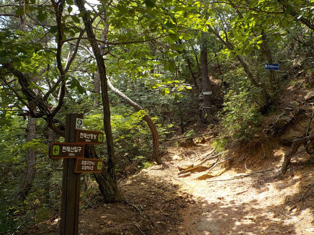 충북 영동 천태산 등산코스