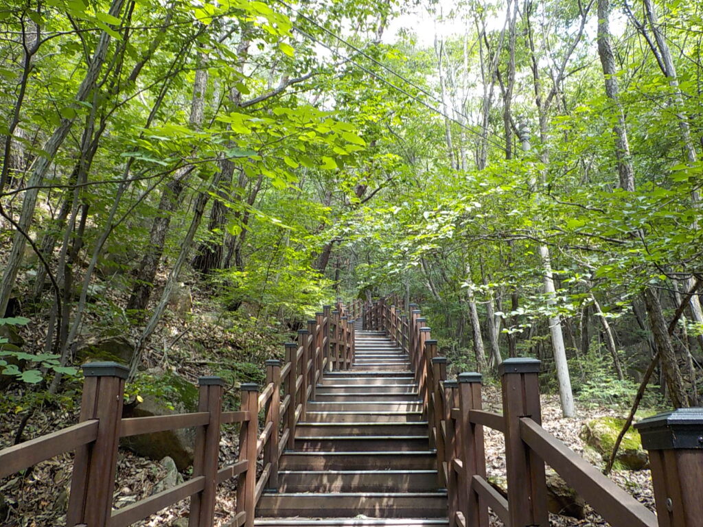 충북 영동 천태산 등산코스