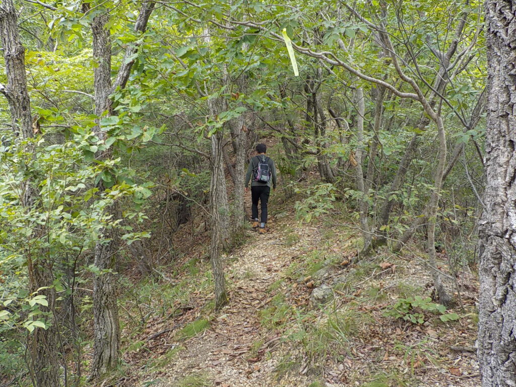 금산 선야봉 등산코스 선야산 최단코스 등산지도11