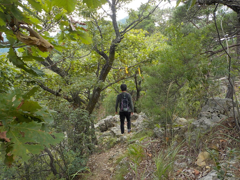 금산 선야봉 등산코스 선야산 최단코스 등산지도14