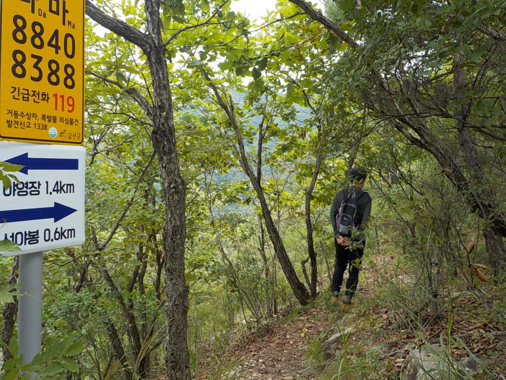 선야산 최단코스