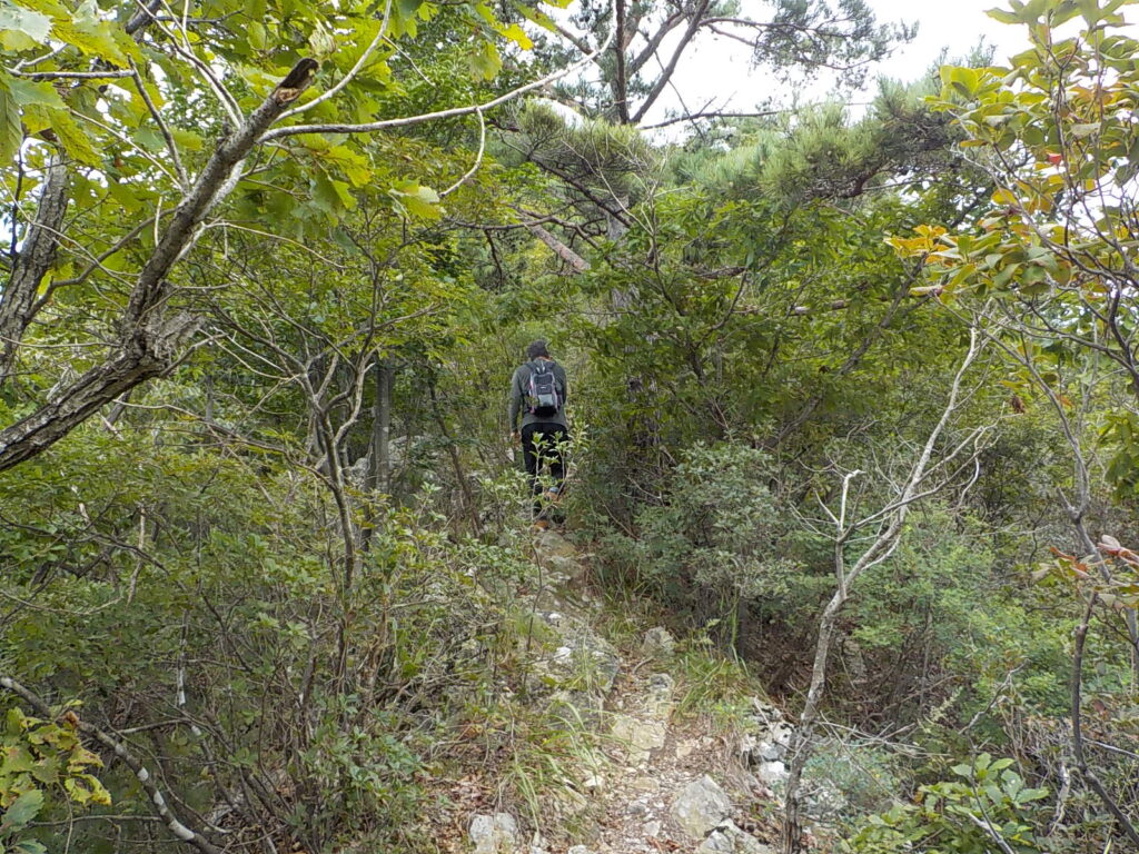 금산 선야봉 등산코스 선야산 최단코스 등산지도16