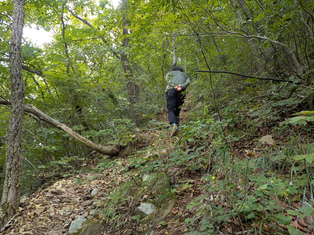 금산 선야봉 등산코스 선야산 최단코스 등산지도8