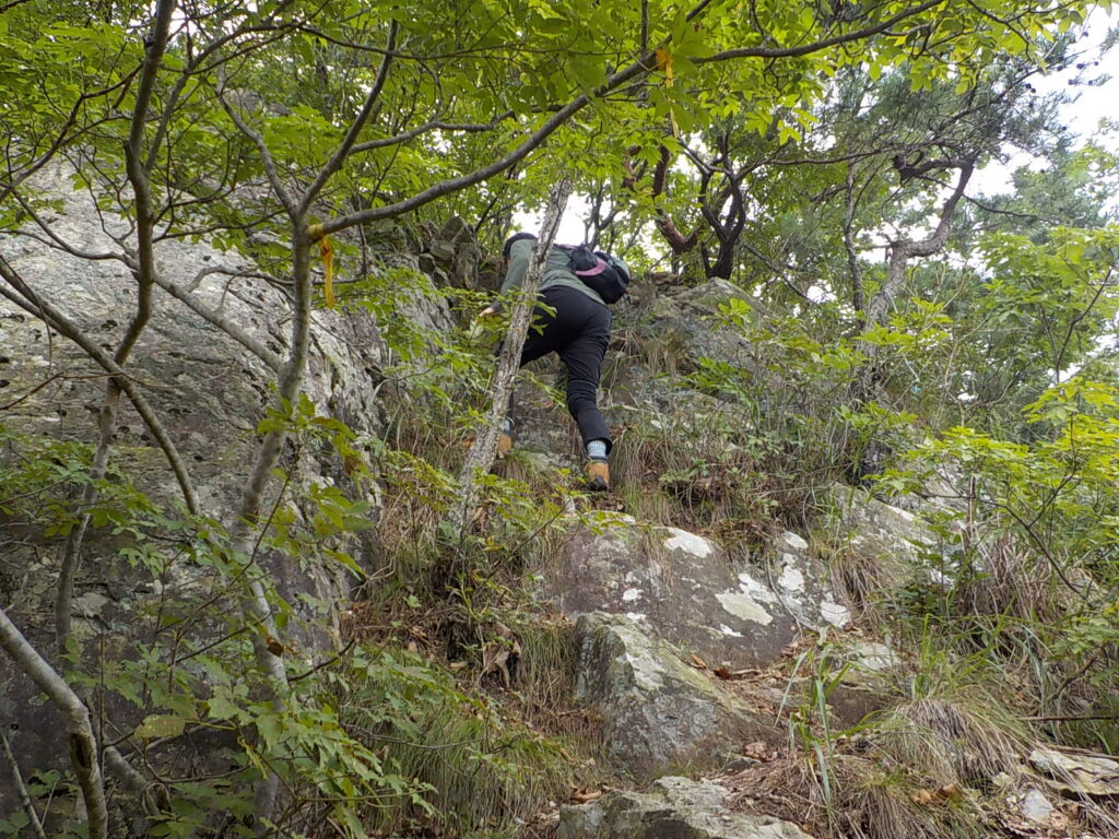 금산 선야봉 등산코스 선야산 최단코스 등산지도9