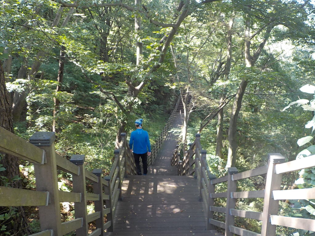 천년전주 마실길