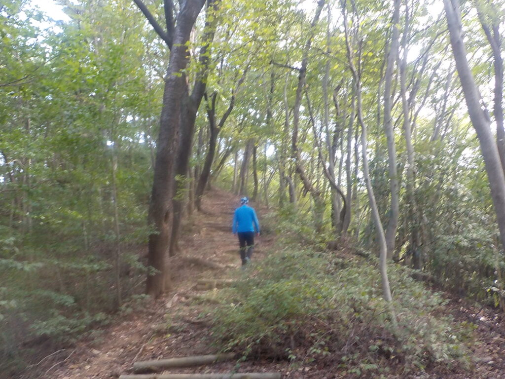 전주 걷기좋은길 천년전주 마실길40