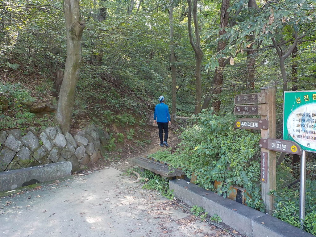 전주 걷기좋은길 천년전주 마실길43