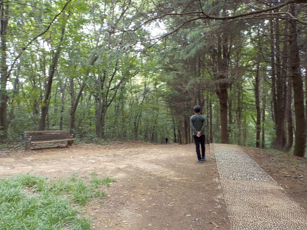 전주 산책하기 좋은 곳 건지산 둘레길14