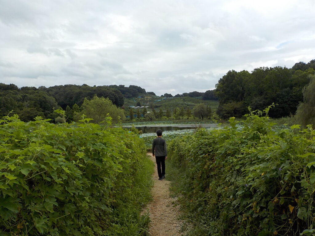 전주 산책하기 좋은 곳 건지산 둘레길16