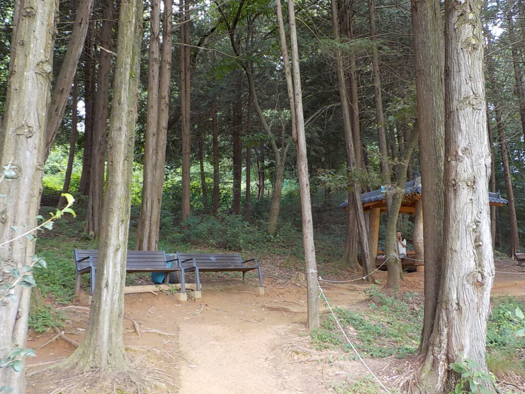 전주 산책하기 좋은 곳 건지산 둘레길18