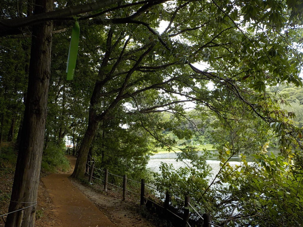 전주 산책하기 좋은 곳 건지산 둘레길19