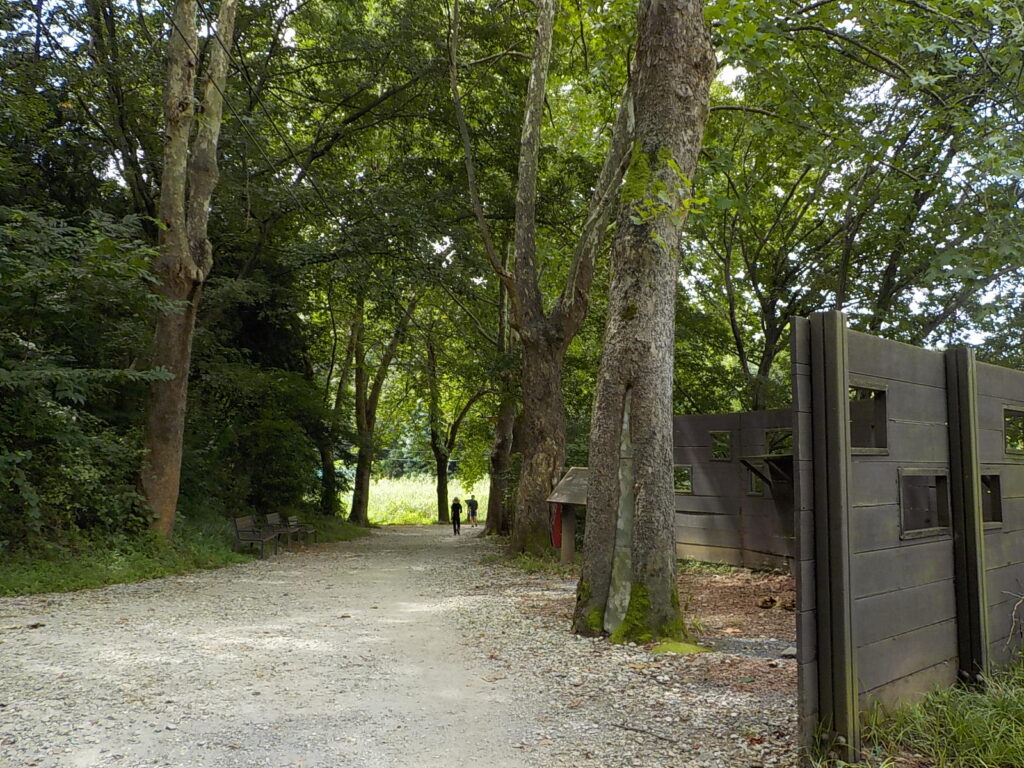 전주 산책하기 좋은 곳 건지산 둘레길21