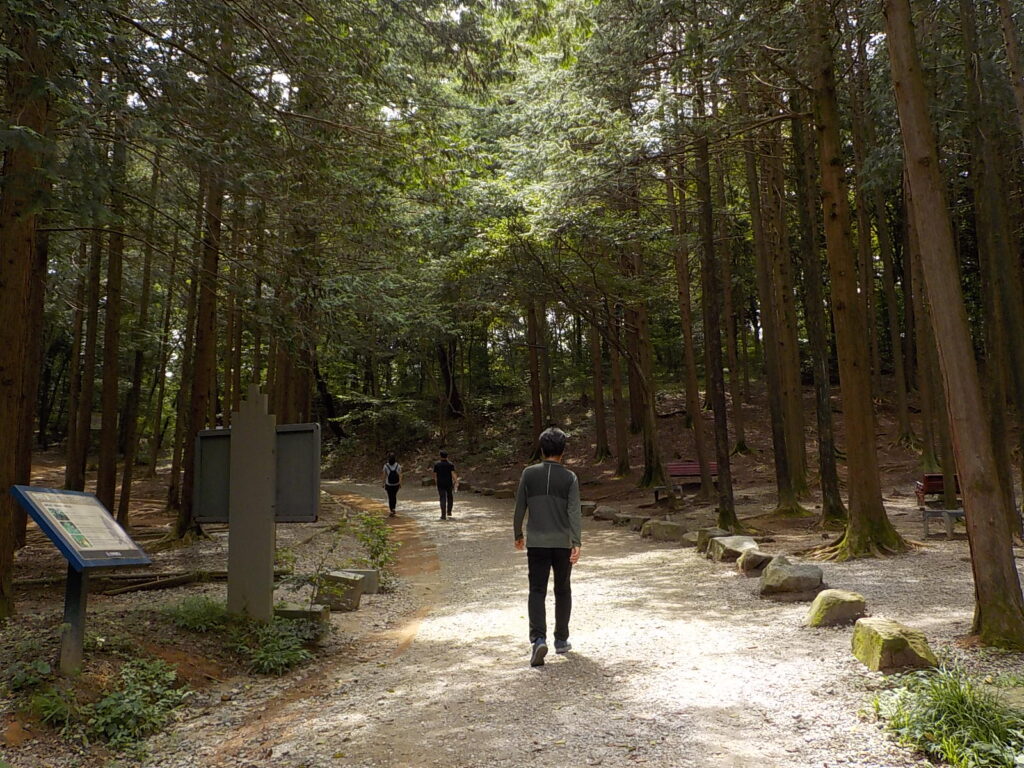 전주 산책하기 좋은 곳 건지산 둘레길23