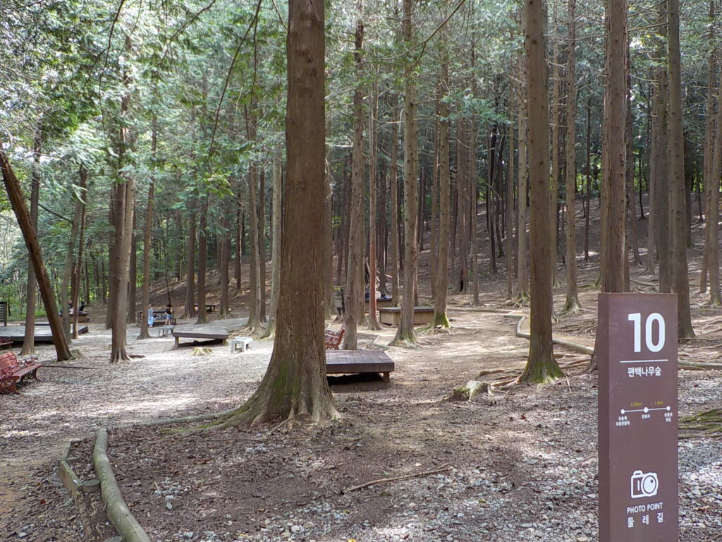 전주 건지산