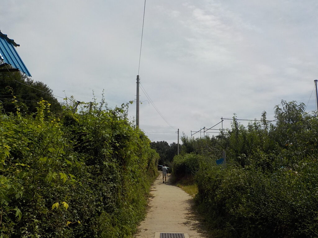 전주 산책하기 좋은 곳 건지산 둘레길28