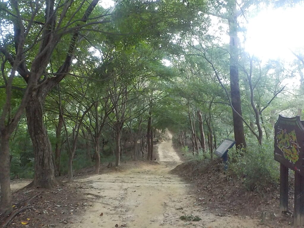 전주 산책하기 좋은 곳 건지산 둘레길36