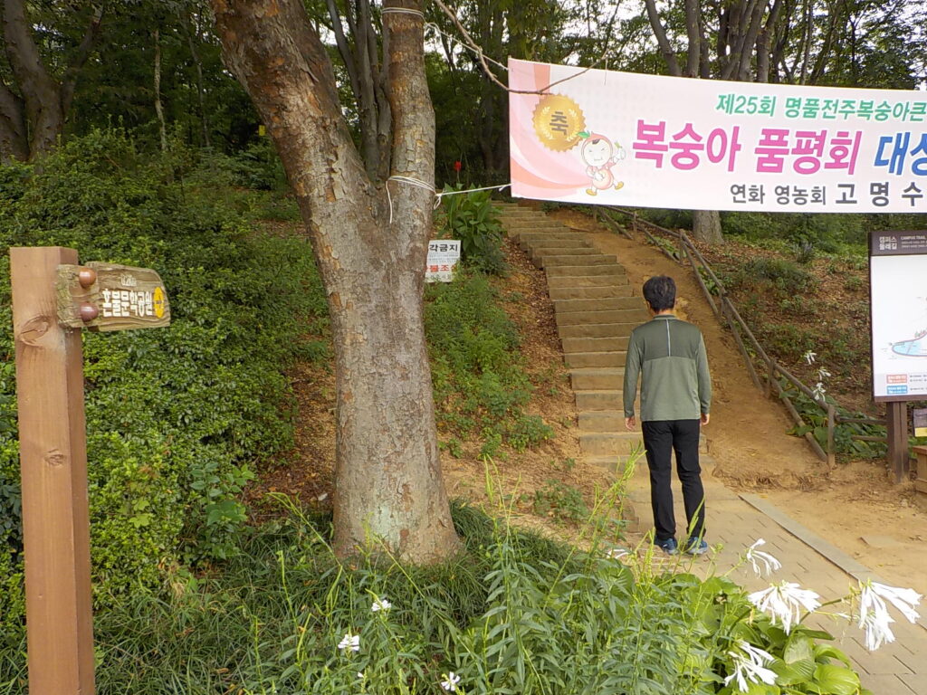 전주 산책하기 좋은 곳 건지산 둘레길6