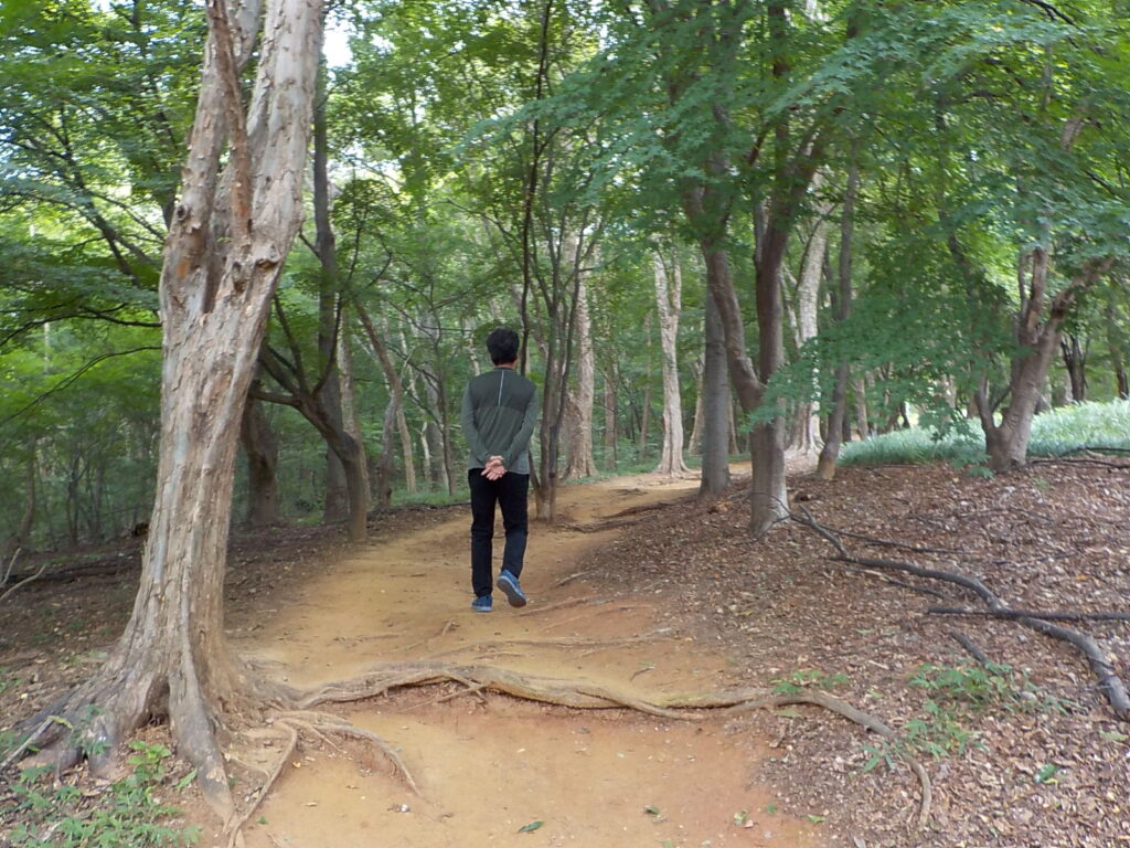 전주 산책하기 좋은 곳 건지산 둘레길7