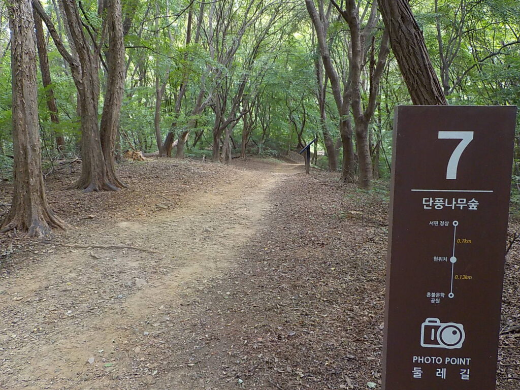 전주 산책로