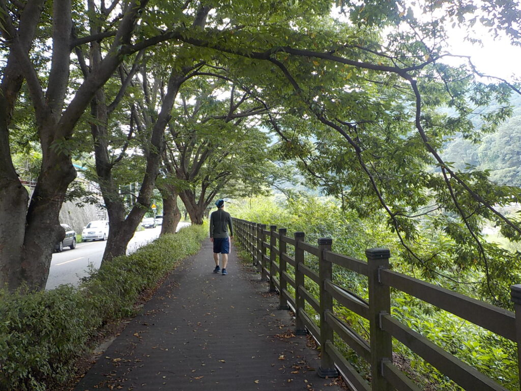 전주 한옥 마을 볼거리 전북 천리길22