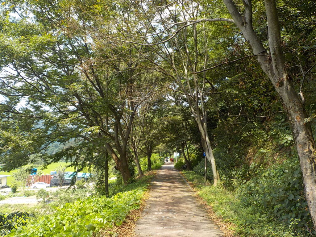 전주 한옥 마을 볼거리 전북 천리길33