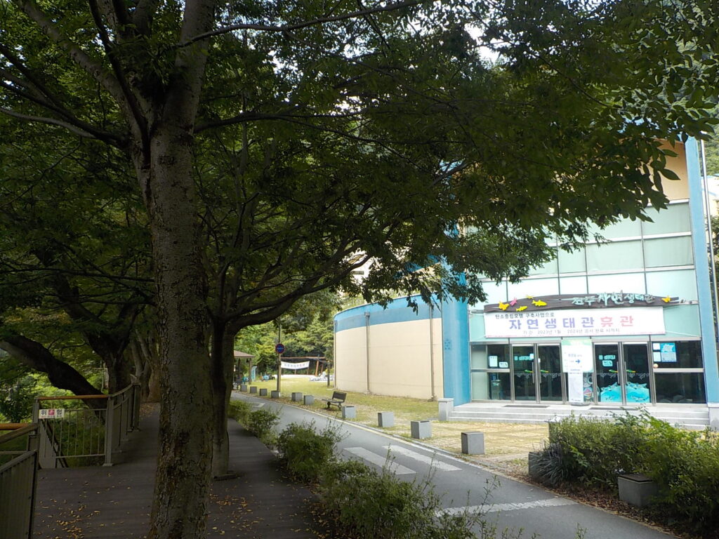 전주 한옥 마을 볼거리 전북 천리길37