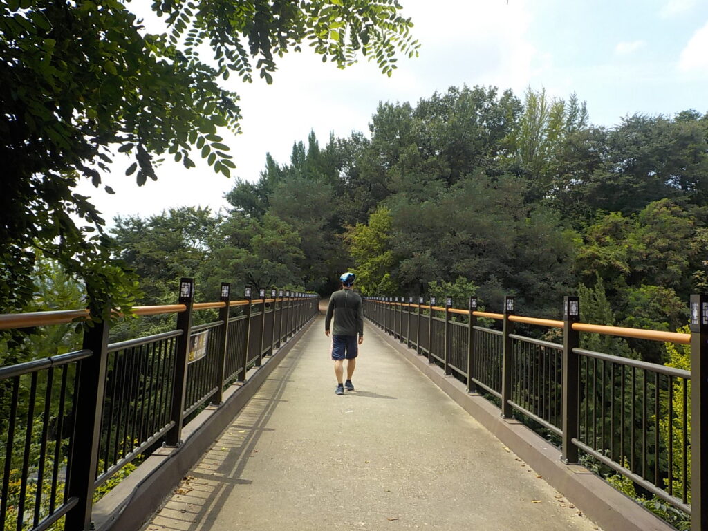 전주 한옥 마을 볼거리 전북 천리길44