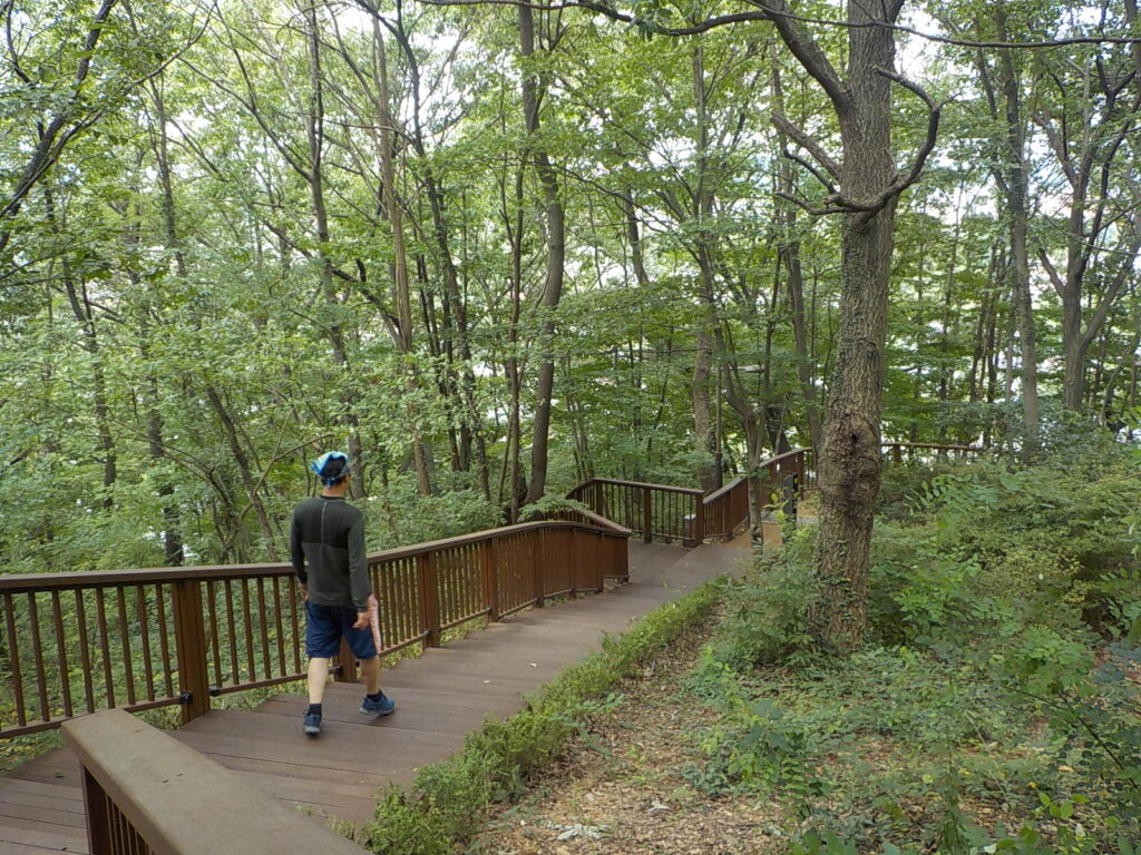 전주 한옥 마을 볼거리 전북 천리길47