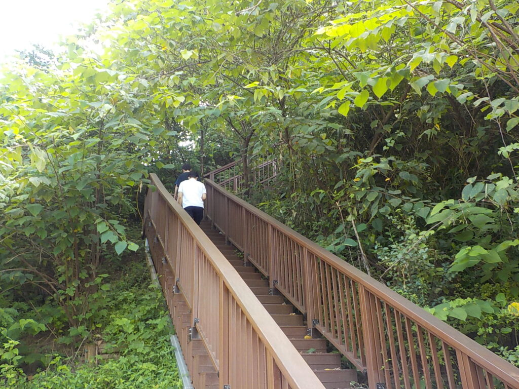 전주 한옥 마을 볼거리 전북 천리길6