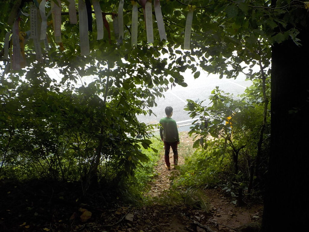 충북 영동 갈기산 등산코스 등산지도24