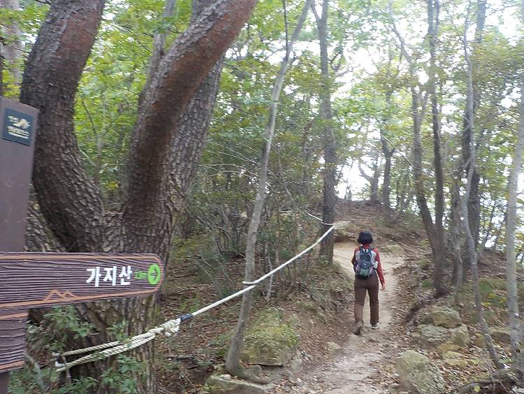 가지산 등산코스 최단코스 등산지도14