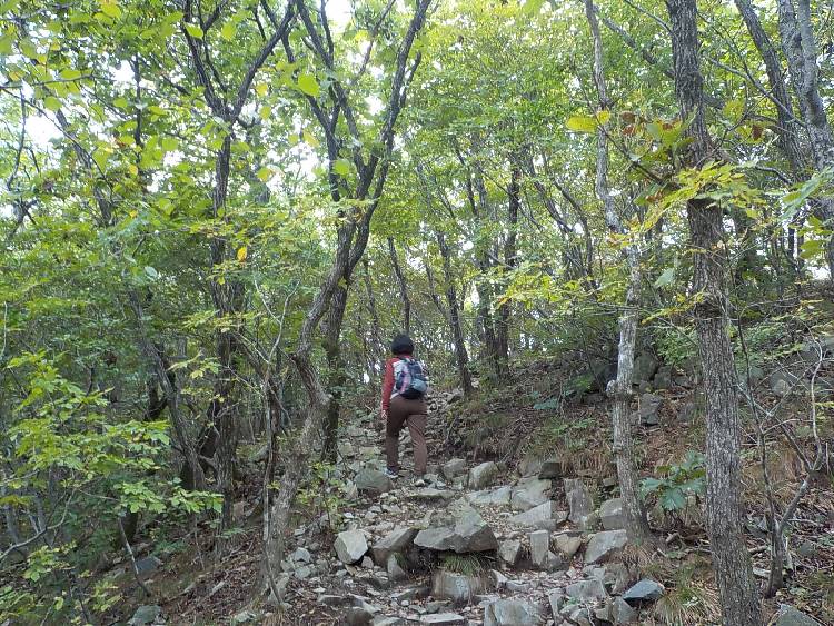 가지산 등산코스 최단코스 등산지도16