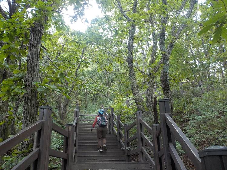 가지산 등산코스 최단코스 등산지도18