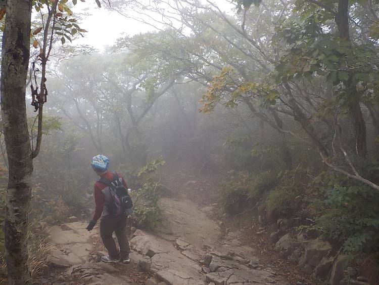 가지산 등산코스 최단코스 등산지도27