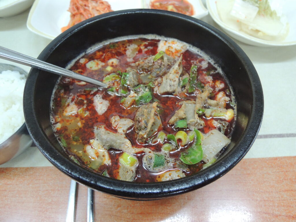 전국 순대국밥 맛집 속초 신다신