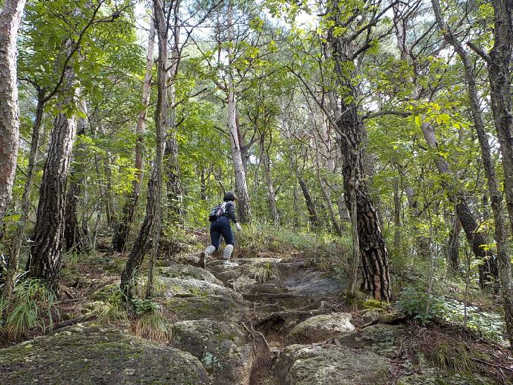 영덕 팔각산 등산코스 최단코스 등산지도8