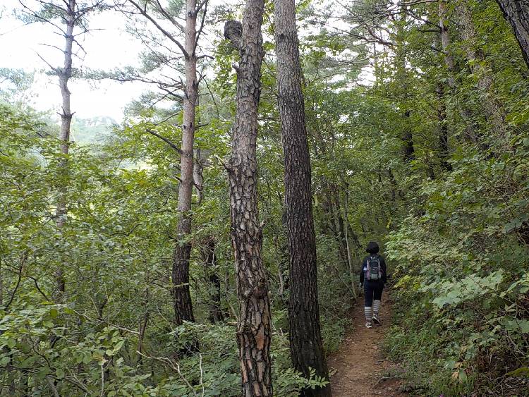 영덕 팔각산 등산코스 최단코스 등산지도9