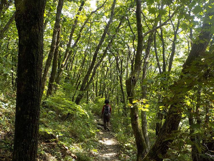 영양 일월산 최단코스 등산코스 등산지도10