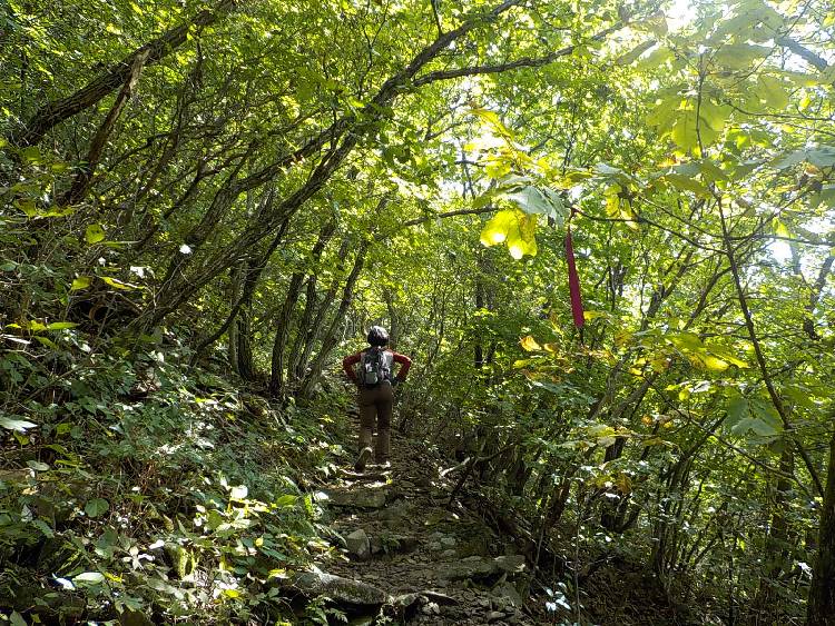 영양 일월산 최단코스 등산코스 등산지도11