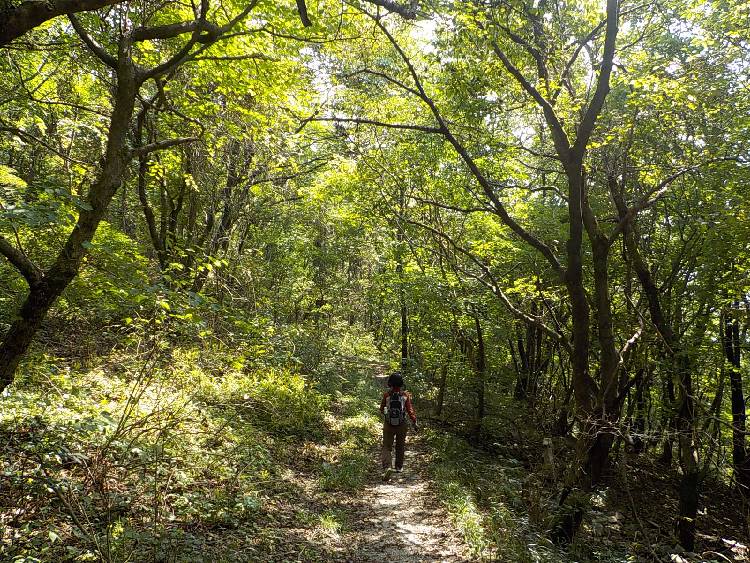 영양 일월산 최단코스 등산코스 등산지도9