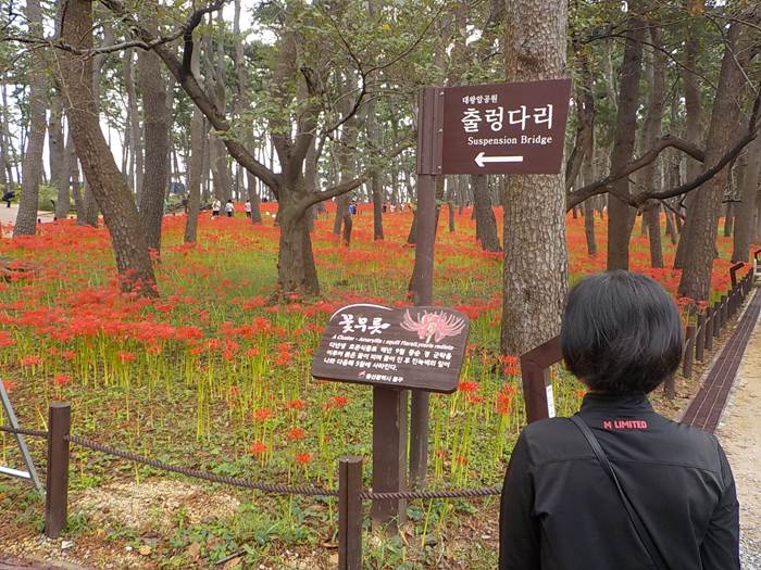 울산 스탬프투어 울산 울기등대 구 등탑7