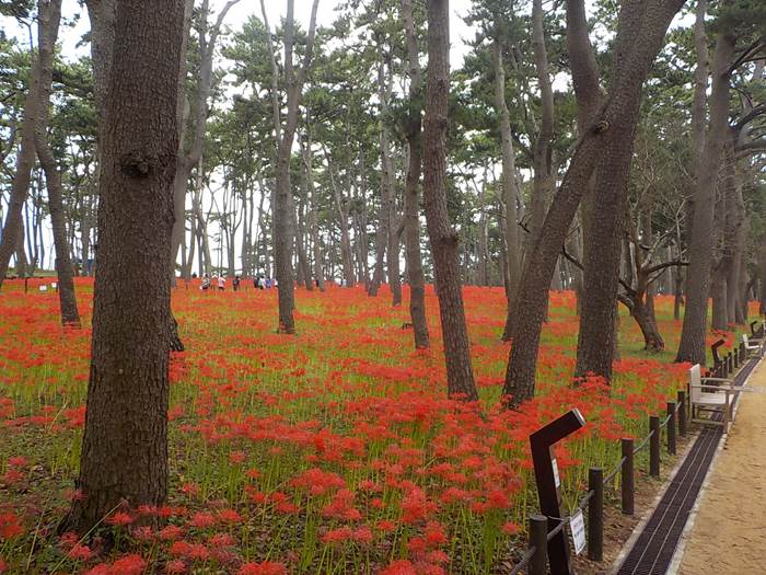 울산 스탬프투어 울산 울기등대 구 등탑9