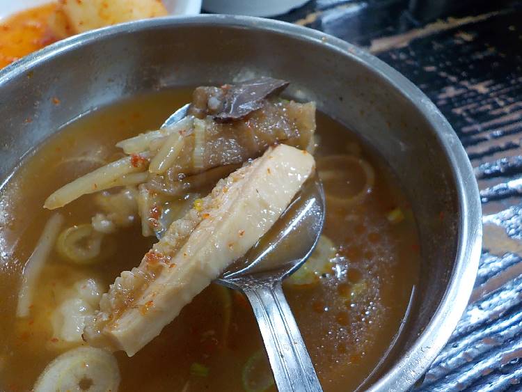 진주 비빔밥 맛집 진주 천황식당11