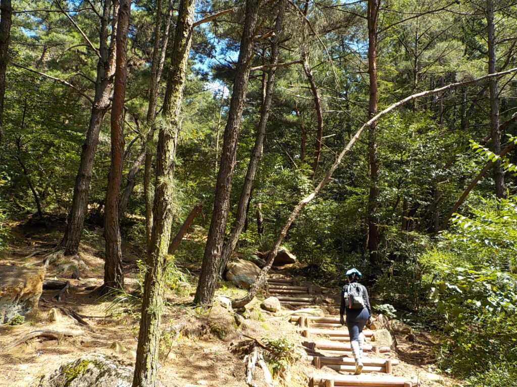 창녕 화왕산 최단코스 등산코스12